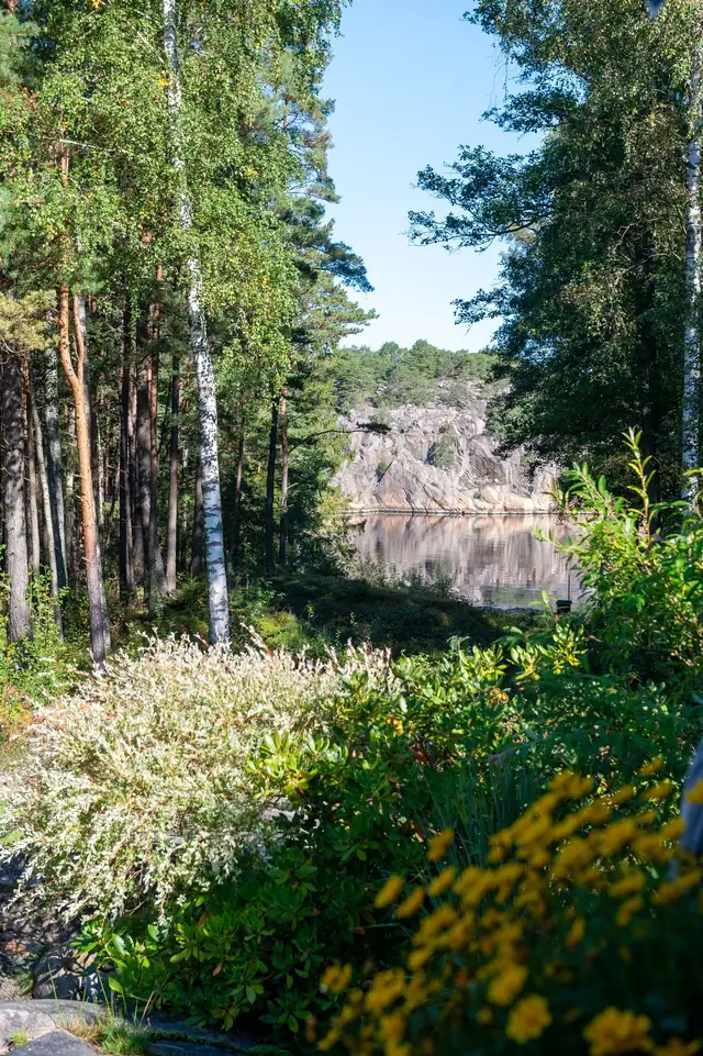 Buskene og blomstene på eiendommen smelter vakkert inn i landskapet.