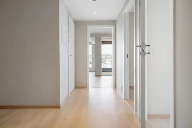 Hall/entre
