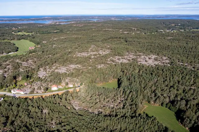 Ny hytte med mulighet for båtplass - Kirkøy/Hvaler — bilde 27